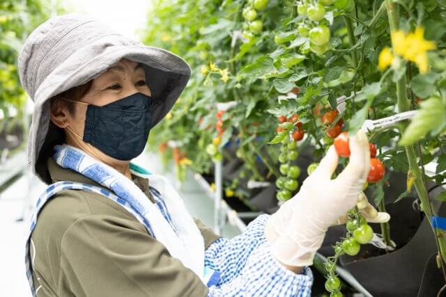 わたしたちのこだわり