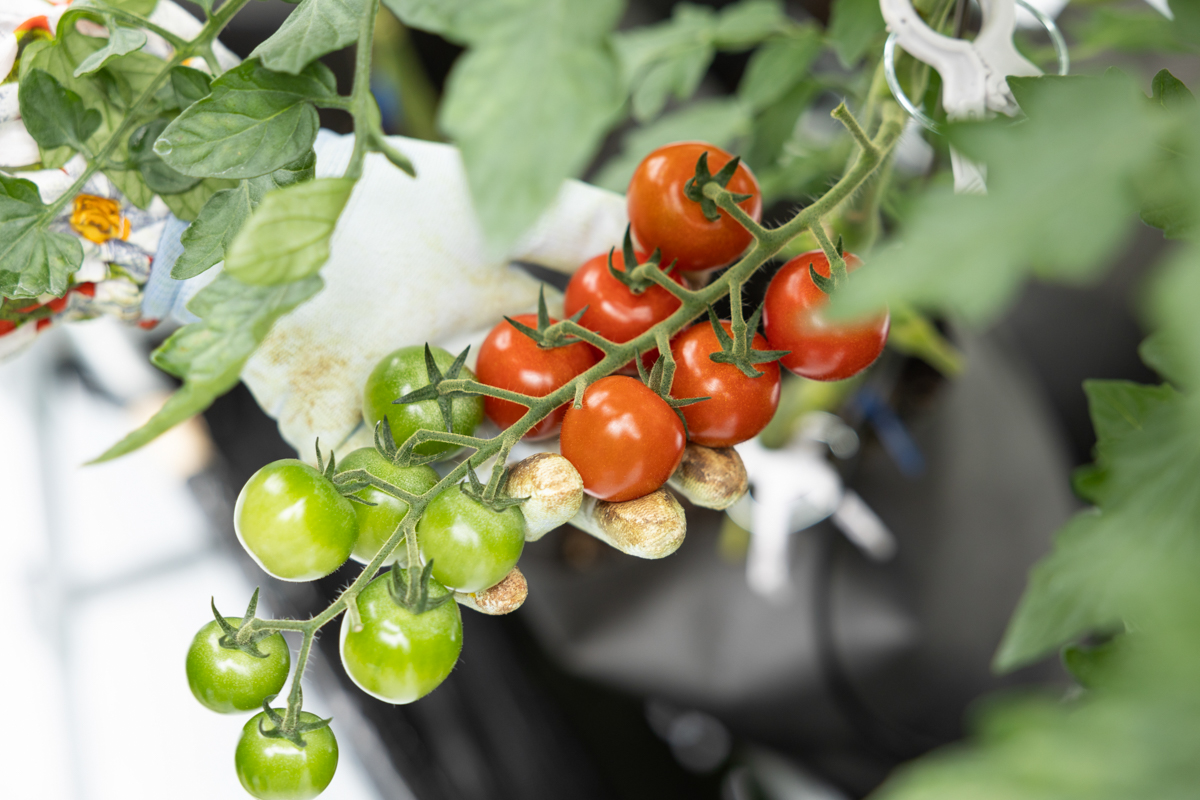 わたしたちのこだわり